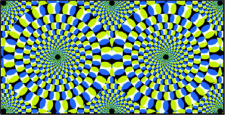 Resultado de imagen de snake illusion